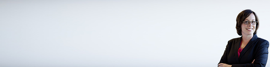 sde_main_slider